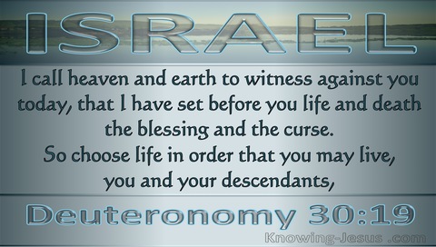 Deuteronomy 30:19 Choose Life Or Death (gray)